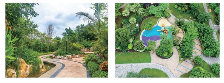 耐根穿刺防水卷材(圖5)