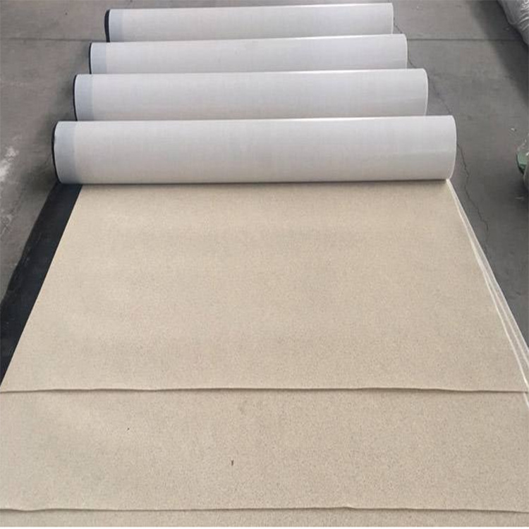 非瀝青基防水卷材(圖4)