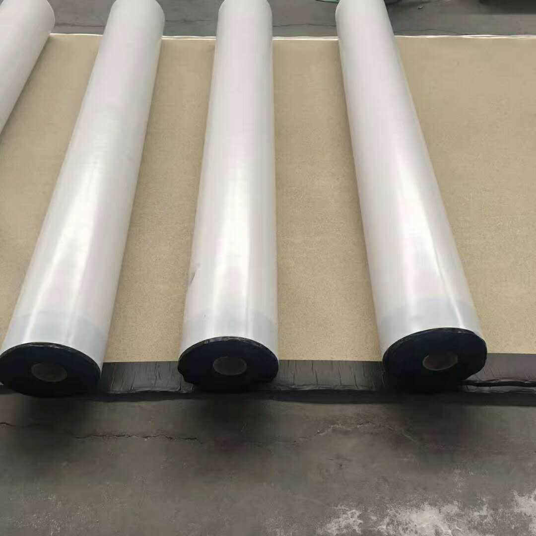 非瀝青基防水卷材(圖1)